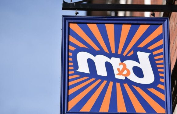 Mum left in hysterics after B&Ms Christmas ornament looks ruder than intended