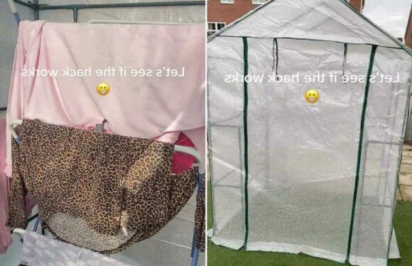 Mum shares 'genius' way she dries her washing outside to avoid mould – but people are all saying the same thing | The Sun