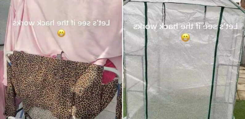 Mum shares 'genius' way she dries her washing outside to avoid mould – but people are all saying the same thing | The Sun