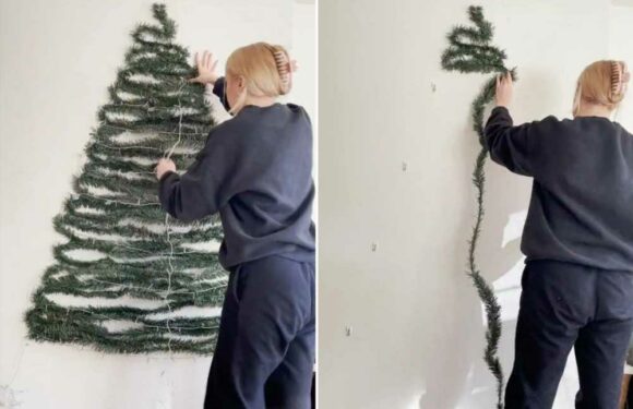 Mum shows genius Christmas decorating hack for those without space for a tree – it's perfect if you have pets | The Sun