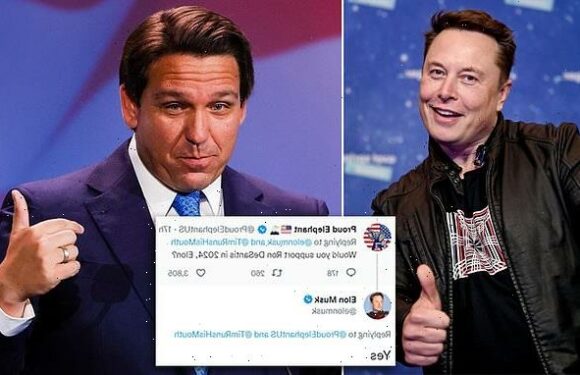 Musk says he'll support DeSantis if he runs in 2024, teases 'ePhone'