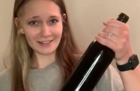 My 30L boobs are so big I have an ‘internal shelf’ – I can hold a wine bottle & Yankee Candles in them | The Sun