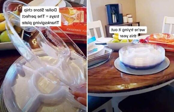 My dollar store Thanksgiving hack makes sending people home with leftovers so much easier | The Sun