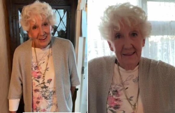 Nan shows off charity shop bargains in sweet video – but everyone's saying the same thing about her appearance | The Sun