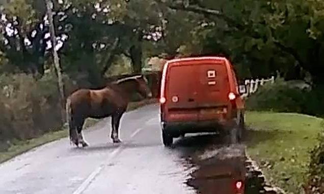 New Forest pony refuses to move as Royal Mail van swerves past