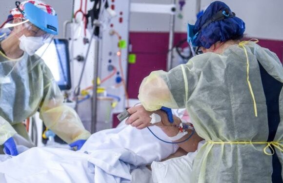 Nursing enrolments soar, as Andrews promises graduates a $5k bonus