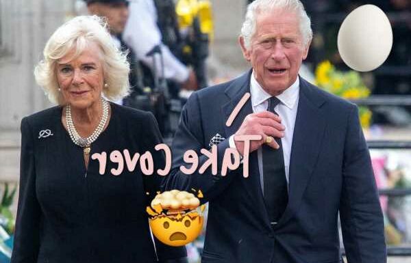 OMG! King Charles & Queen Camilla PELTED WITH EGGS During Royal Outing!