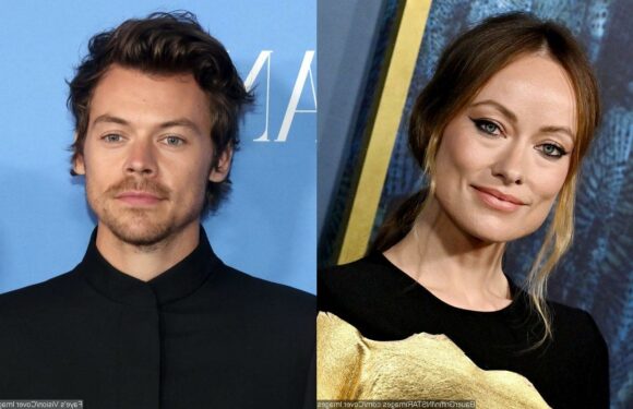Olivia Wilde Reportedly Disappointed That Harry Styles Didnt Fight for Their Relationship