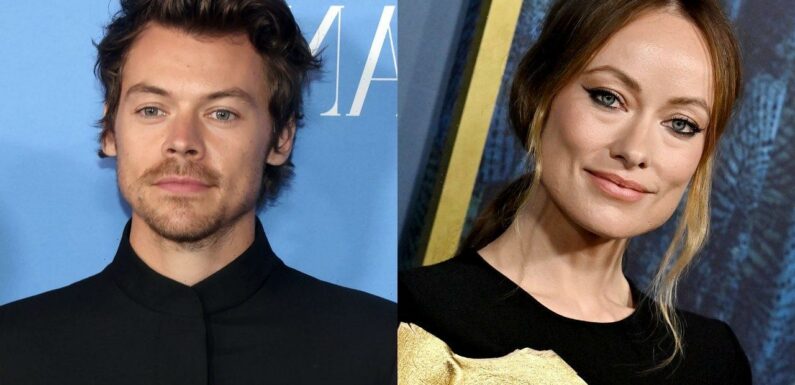 Olivia Wilde Reportedly Disappointed That Harry Styles Didnt Fight for Their Relationship