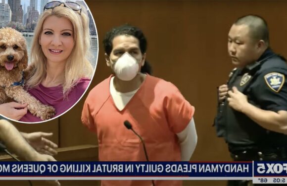 Orsolya Gaal Killing: NYC Handyman Pleads Guilty To Manslaughter After Stabbing Married Lover 55 Times