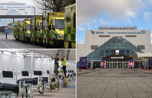 Owners of London's ExCel centre sue their insurers for £16m