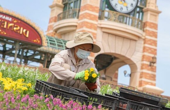 Park Visitors Trapped as COVID Fear Closes Shanghai Disneyland Again