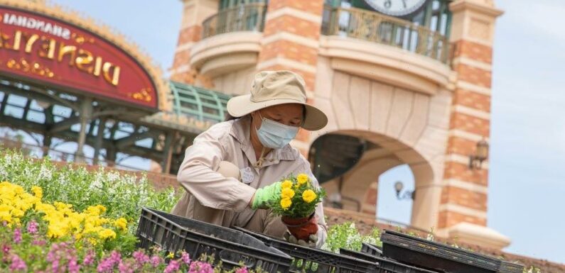 Park Visitors Trapped as COVID Fear Closes Shanghai Disneyland Again