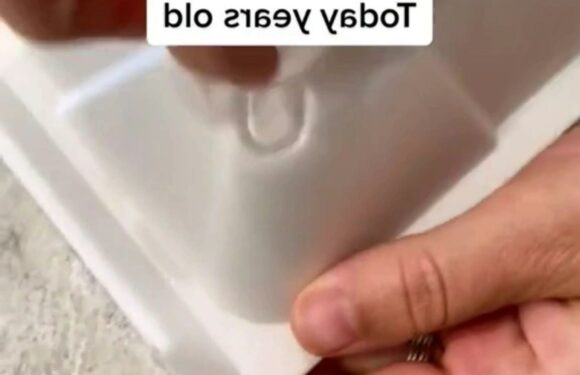 People are just realising the hidden feature on takeaway boxes that helps to let the steam out & their minds are blown | The Sun