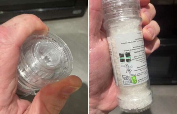 People are only just realising salt grinders have hidden setting that makes cooking easier… but it's divided opinions | The Sun