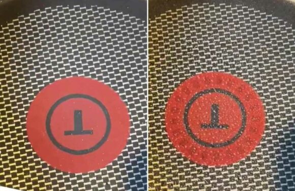 People are only just realising what the red spot is for on their saucepans – and they're running to test it out | The Sun