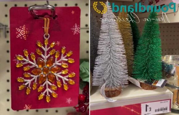 Poundland fans go wild for the new-in Christmas bits – there's bargain trees, decorations, lights, wrapping and more | The Sun