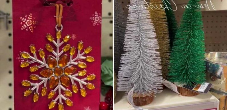 Poundland fans go wild for the new-in Christmas bits – there's bargain trees, decorations, lights, wrapping and more | The Sun
