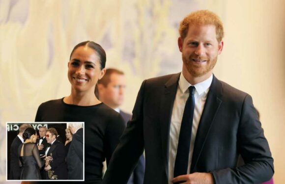 Prince Harry gushes 'thanks for being a friend to my mum and kids' in message to Elton John with Meghan Markle | The Sun