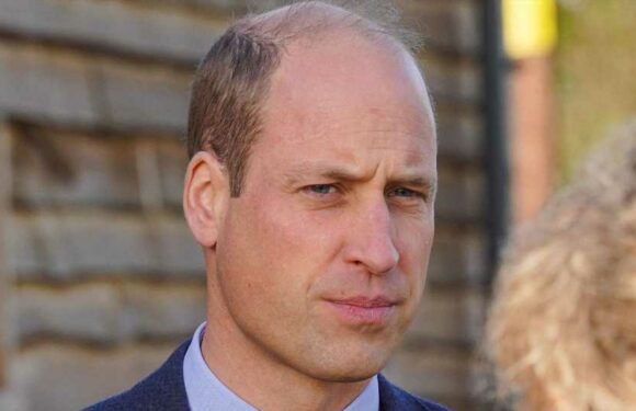 Prince William’s team blasts his godmother over Palace race row after she asked black guest 'where are you really from?' | The Sun