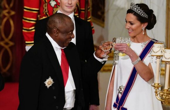 Princess Kate gets the giggles during King Charles’s speech: VIDEO