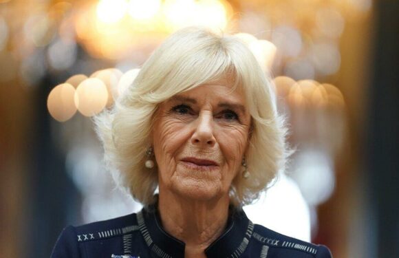 Queen Camilla recycles glam navy dress for Buckingham Palace reception