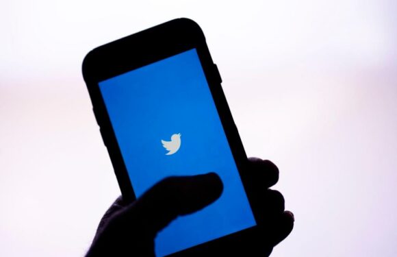 Report: Tweets with racial slurs soar since Musk takeover – The Denver Post