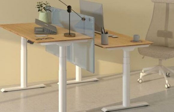 Review: FlexiSpot E8 standing desk a great solution for back pain but not cheap