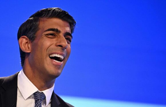 Rishi Sunak slaps down Jeremy Hunt by rejecting new deal with Brussels that 'relies on Britain aligning with EU rules' | The Sun