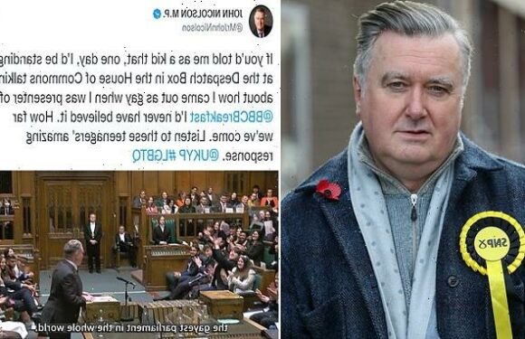 SNP MP applauded by Youth MPs as he speaks about being gay