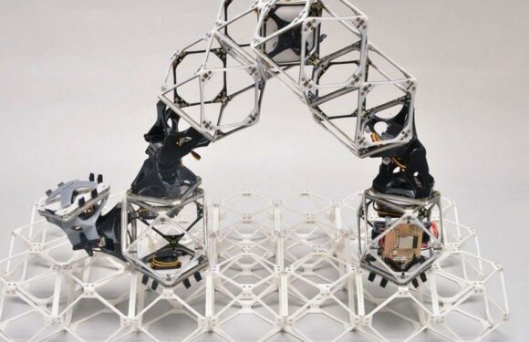 Self-replicating robots can ‘build almost anything’ and become bigger machines