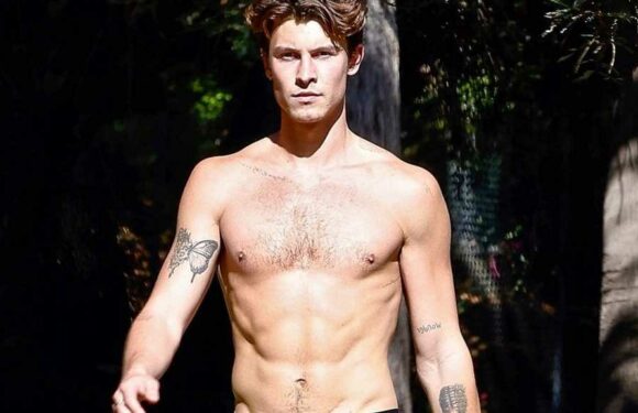 Shawn Mendes Shows Off Body On Shirtless Hike
