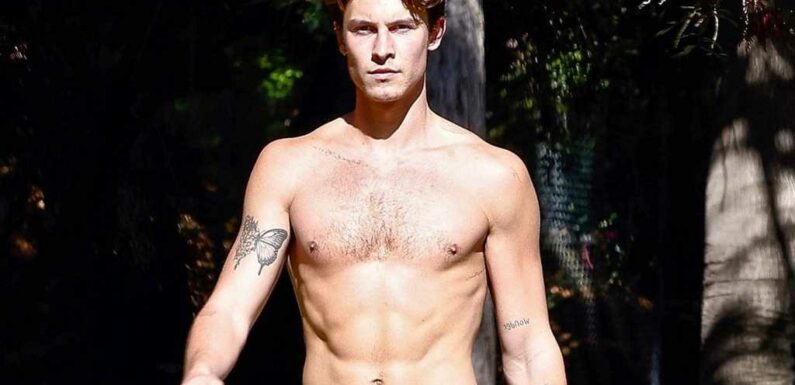 Shawn Mendes Shows Off Body On Shirtless Hike