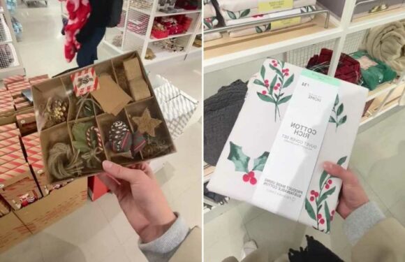 Shoppers are raving about Primark’s new Christmas homeware range saying it’s the best in years, so you better hurry | The Sun