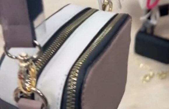 Shoppers go wild for Primark Marc Jacob bag dupe – it looks almost identical but is £328 cheaper | The Sun