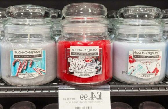 Shoppers go wild for Yankee Candles in Home Bargains as they snap up the budget buy | The Sun