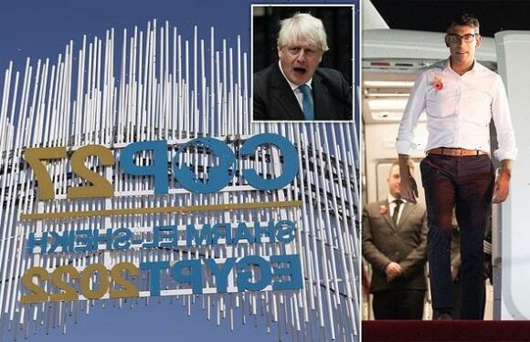 Sunak arrives at COP27 summit amid clime change 'reparations' row