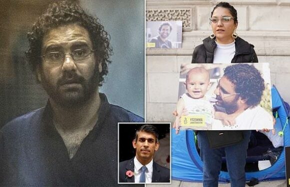 Sunak will campaign for release of British-Egyptian activist at Cop27