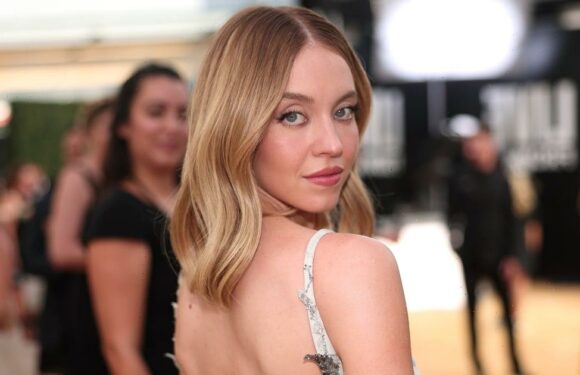 Sydney Sweeney's See-Through Dress Reveals Purple Iridescent Lingerie