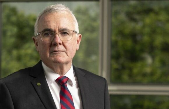 Teals back Wilkie’s demand for federal inquiry into alleged coal scam