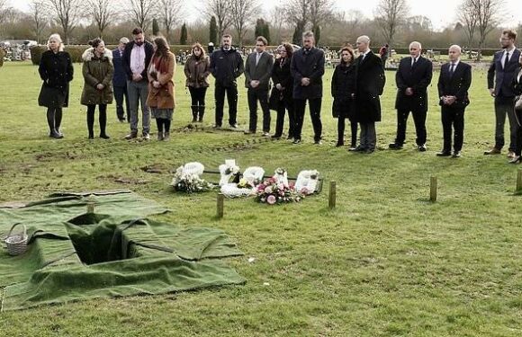 Teddy bear-shaped gravestone for baby found dead in a recycling yard