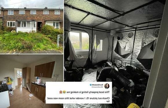 Terraced home with remains of CANNABIS factory on market for £200,000