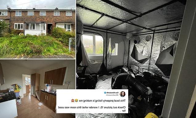 Terraced home with remains of CANNABIS factory on market for £200,000