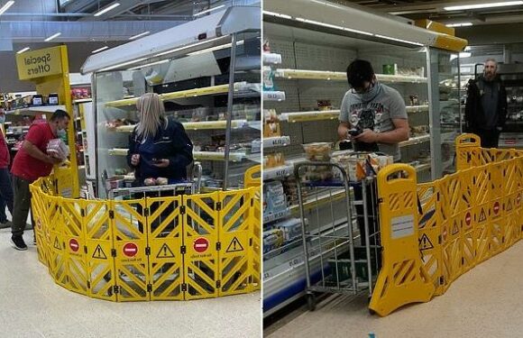 Tesco using barriers as shoppers try snatch reduced items from staff