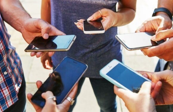 The average adult will own 19 phones in their lifetime, study finds