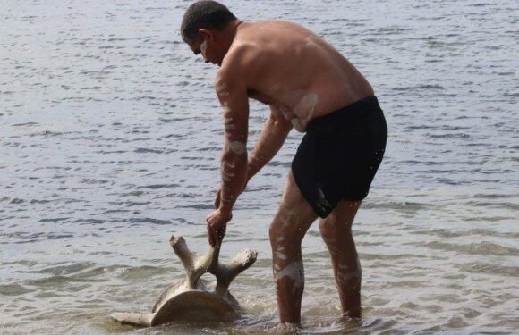 The getting of wisdom from the frigid depths of a life-filled sea