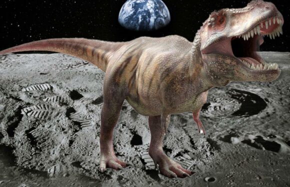 ‘There are probably dinosaur bones on the Moon’ say scientists in wild claim