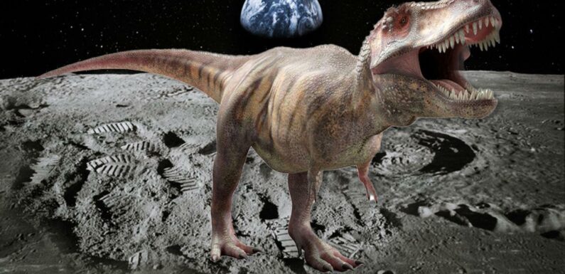 ‘There are probably dinosaur bones on the Moon’ say scientists in wild claim