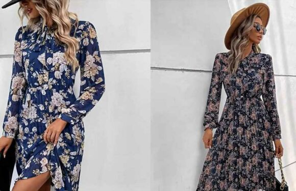 This Chiffon Dress Is the Perfect Thanksgiving Frock