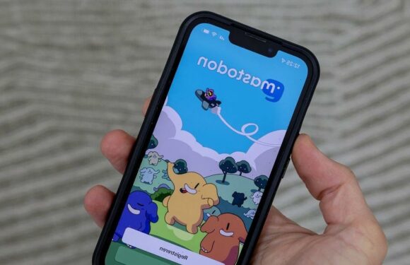 Thousands join ‘open source’ social network after Elon Musk Twitter takeover